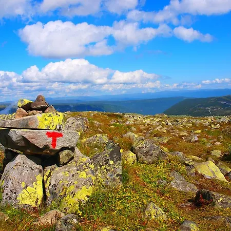 Gæstehus Den Lykkelige Sportsmann