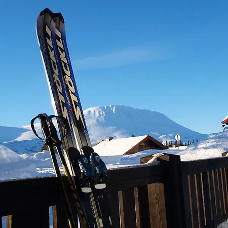 Den Lykkelige Sportsmann