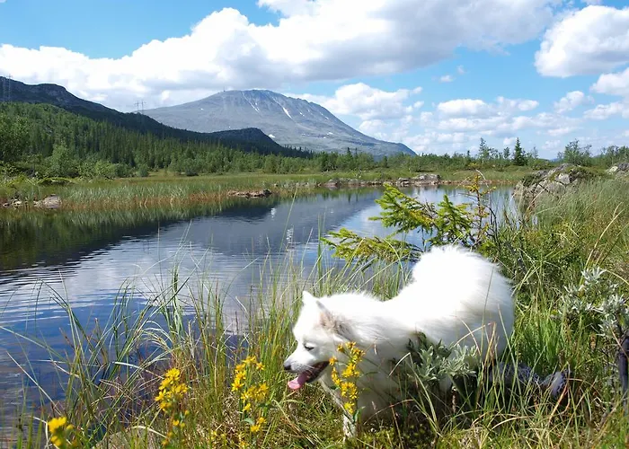 Penzion Den Lykkelige Sportsmann *