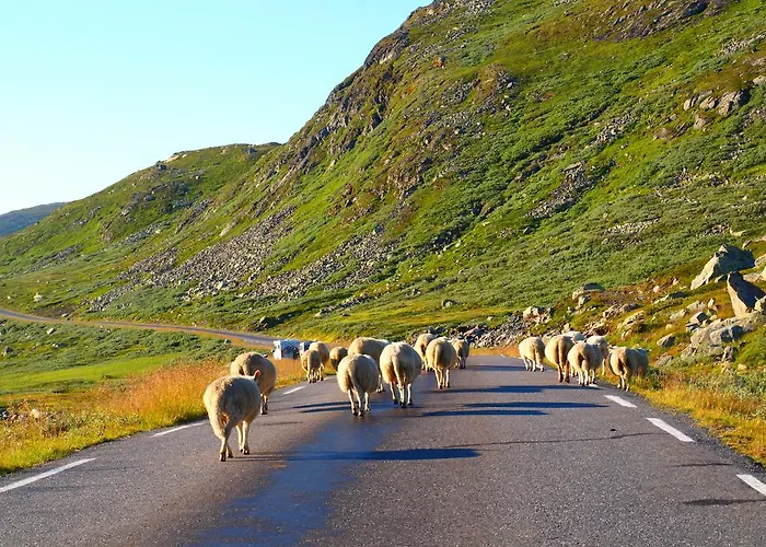 Penzion Den Lykkelige Sportsmann