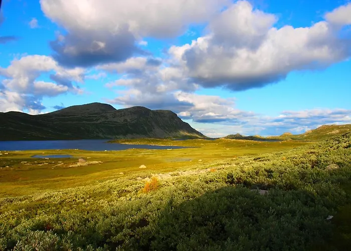 Den Lykkelige Sportsmann Gaustablikk