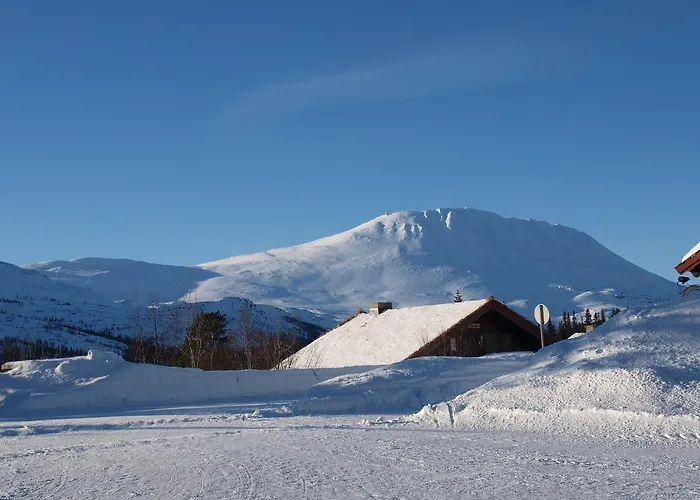 Gæstehus Den Lykkelige Sportsmann *