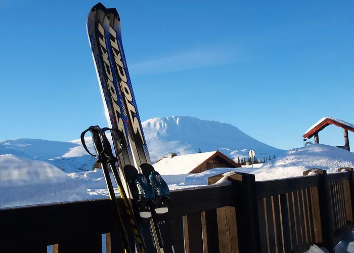 Den Lykkelige Sportsmann