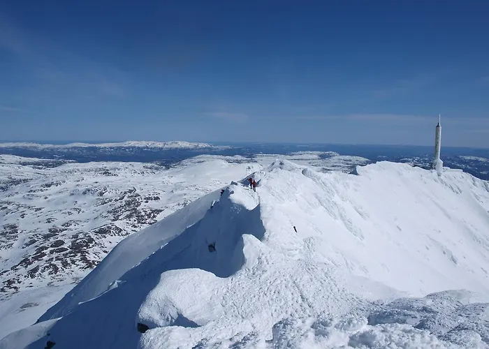 Gæstehus Den Lykkelige Sportsmann