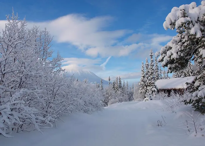 Penzion Den Lykkelige Sportsmann Gaustablikk