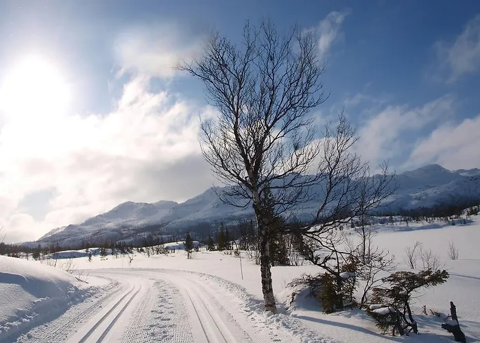 Den Lykkelige Sportsmann Gaustablikk