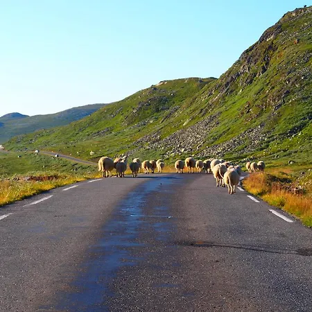 Den Lykkelige Sportsmann