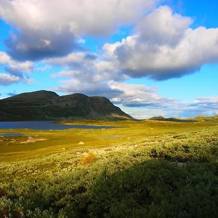 Den Lykkelige Sportsmann Gaustablikk