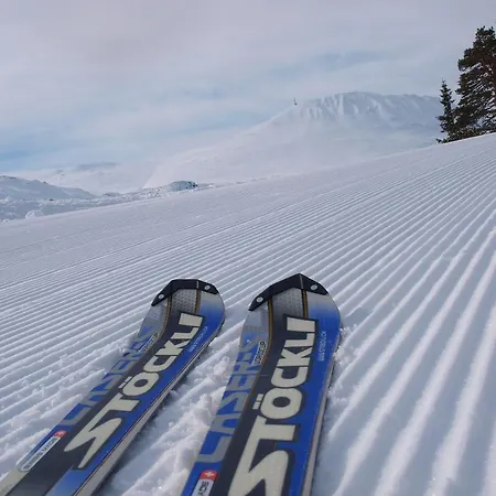 招待所 Den Lykkelige Sportsmann *