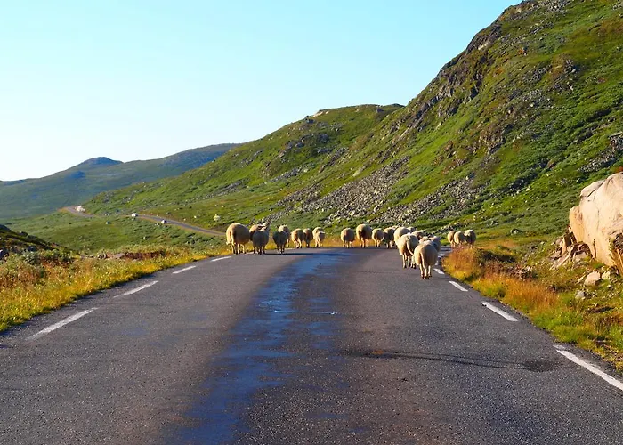 Den Lykkelige Sportsmann